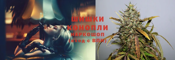 шишки Лагань