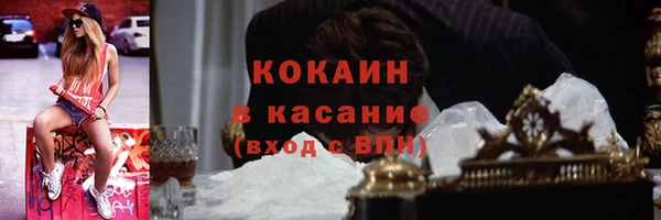 шишки Лагань