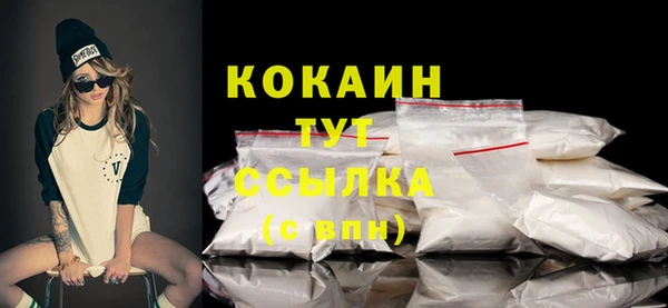 шишки Лагань