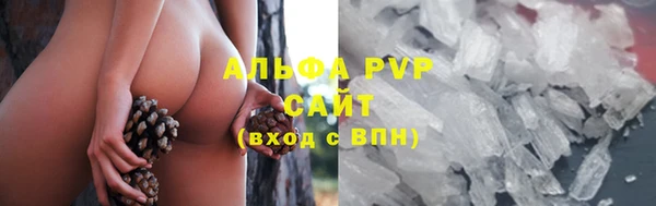 ГАЛЛЮЦИНОГЕННЫЕ ГРИБЫ Лабытнанги