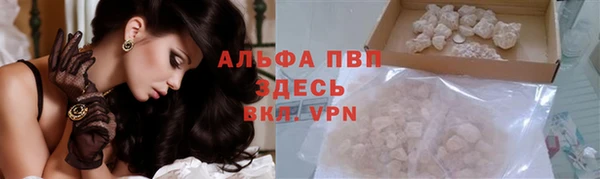 шишки Лагань