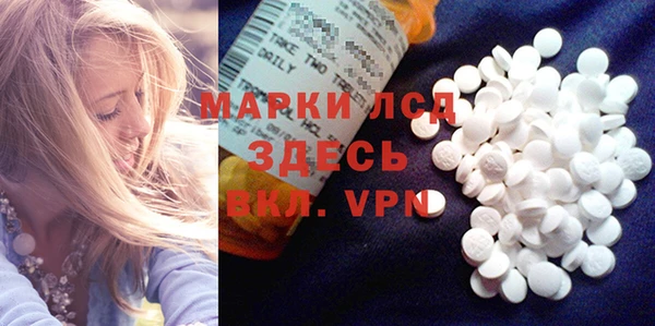 ГАЛЛЮЦИНОГЕННЫЕ ГРИБЫ Лабытнанги