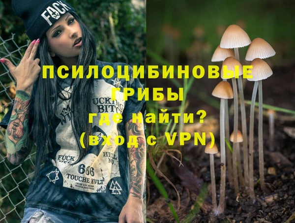 ешки Ладушкин
