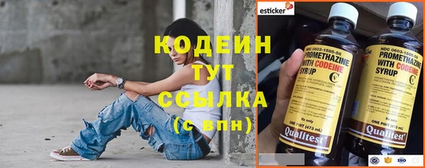 шишки Лагань