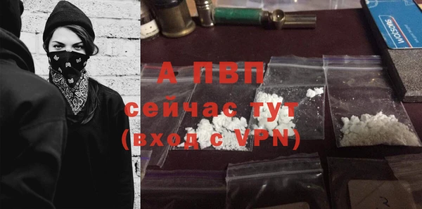 ГАЛЛЮЦИНОГЕННЫЕ ГРИБЫ Лабытнанги