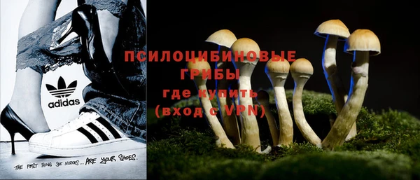 ГАЛЛЮЦИНОГЕННЫЕ ГРИБЫ Лабытнанги