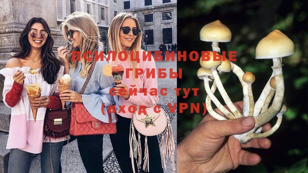 ГАЛЛЮЦИНОГЕННЫЕ ГРИБЫ Лабытнанги