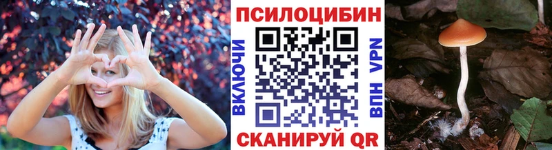 Купить  Лукоянов  Галлюциногенные грибы ЛСД 